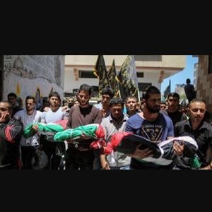 Meet your Posher, Shak